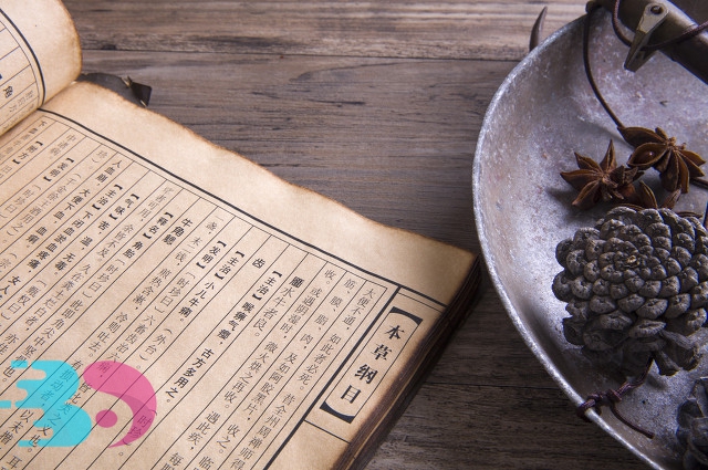 鲜石斛的功效与作用及食用方法