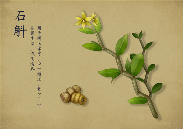 小孩可以喝石斛汤吗？铁皮石斛的最佳食用方法