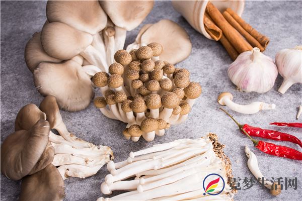 什么蔬菜可以美白 什么蔬菜具有美白的功效(图3)