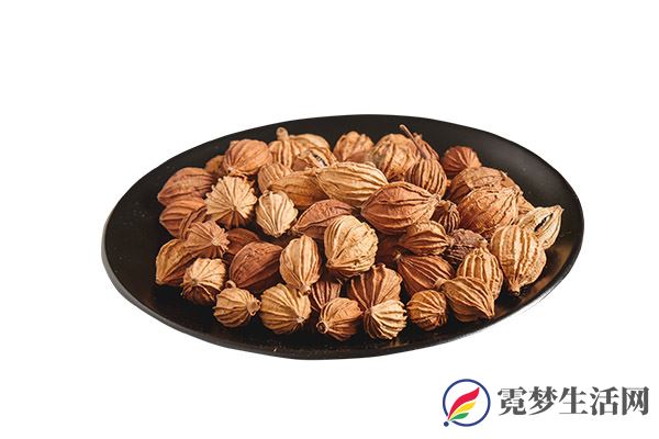 砂仁的功效与作用 砂仁的禁忌