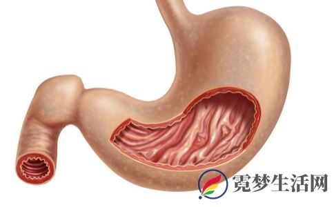 想养胃就按摩这3个穴位