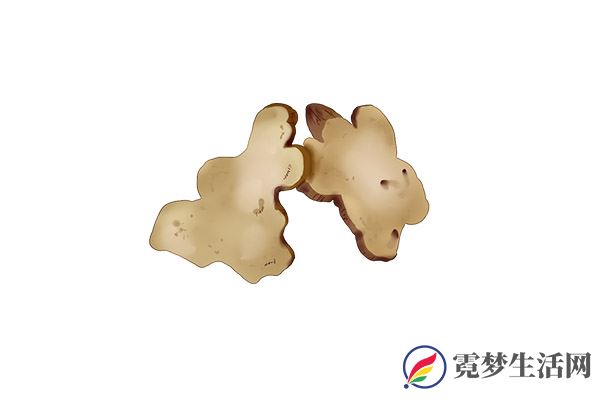 白术的功效与作用 白术的营养价值(图2)