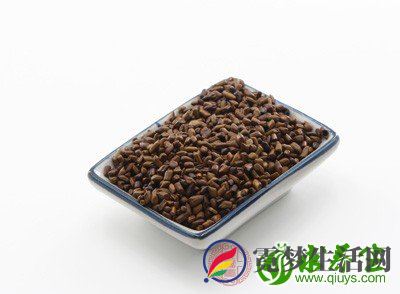 水煎饮其汁液 水煎饮其汁液