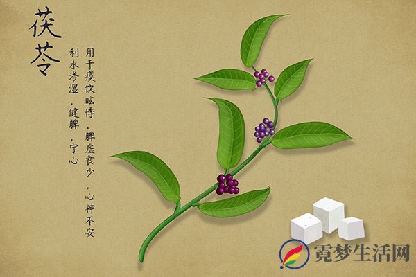 茯苓的功效与作用 茯苓的食用方法(图2)