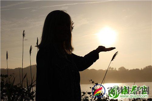 灵芝的吃法有哪些 教你正确的吃法