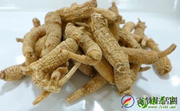 西洋参怎么吃效果最好？西洋参怎样吃效果最好