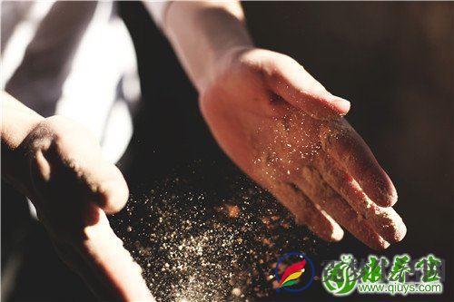 维生素B12是什么 维生素B12的功效