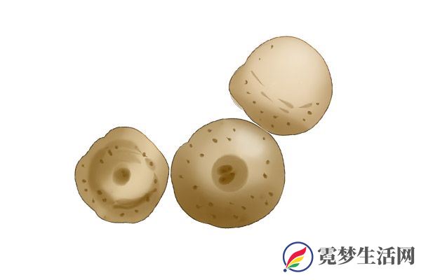 半夏的功效与作用 半夏的好处
