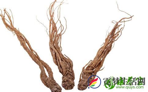 当归怎么吃效果好 介绍当归的吃法