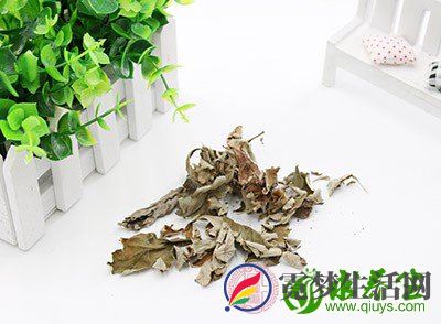 、要注意保暖和防暑:因施灸时要暴露部分体表部位 、要注意保暖和防暑:因施灸时要暴露部分体表部位
