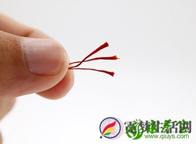藏红花虽为良药,但它的副作用也不可小视 藏红花虽为良药,但它的副作用也不可小视
