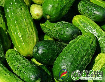 黄瓜籽的功效与作用 补钙壮骨还止咳