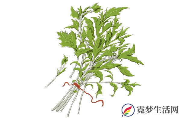 艾草的功效与作用 艾草的好处(图2)