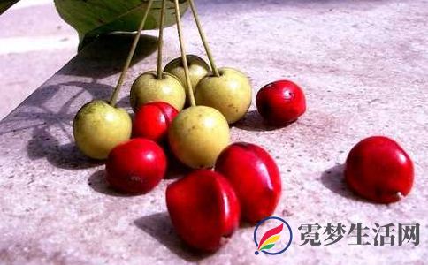 山荆子与山定子区别 山荆子是什么 山定子是什么