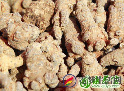 滋补品开始走俏，通过服用滋补品滋补身体