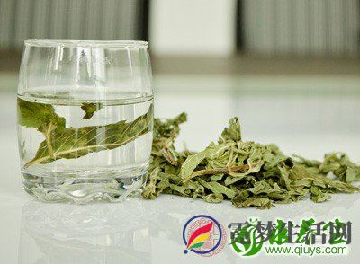 是清热利尿的良药 是清热利尿的良药