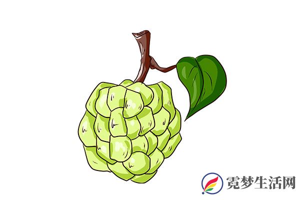 释迦果怎么吃 释迦果的吃法(图2)