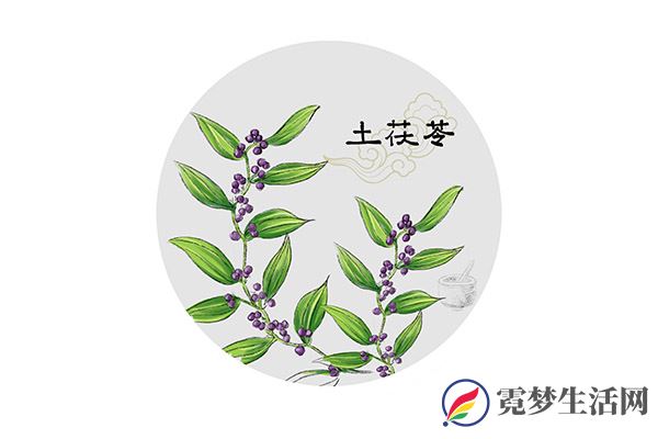 土茯苓的功效与作用 土茯苓的好处(图3)