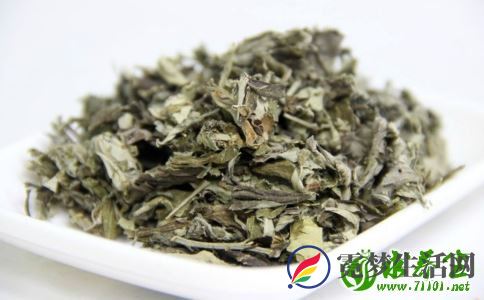 艾叶对荨麻疹有什么作用 艾叶有什么好处 使用艾叶有什么禁忌