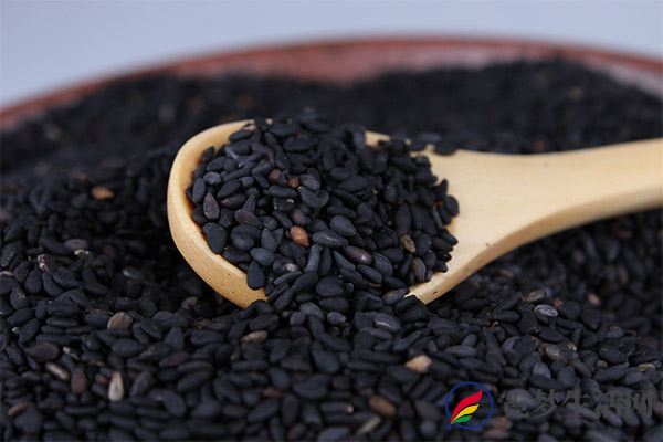 黑芝麻的功效与作用 黑芝麻的营养价值(图2)