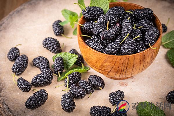 滋阴的食物 滋阴的10种食物(图3)