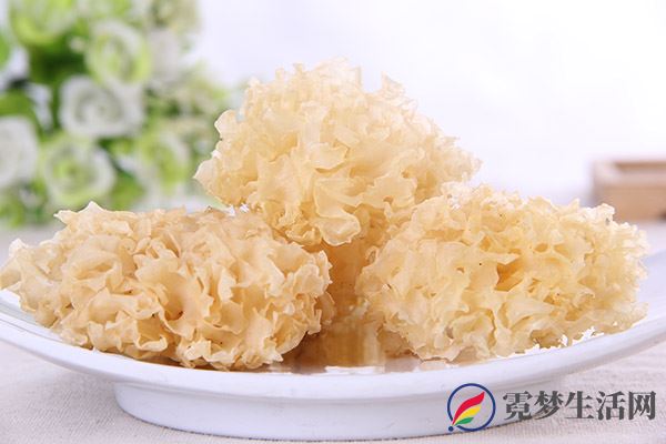 银耳的功效 银耳的好处(图3)