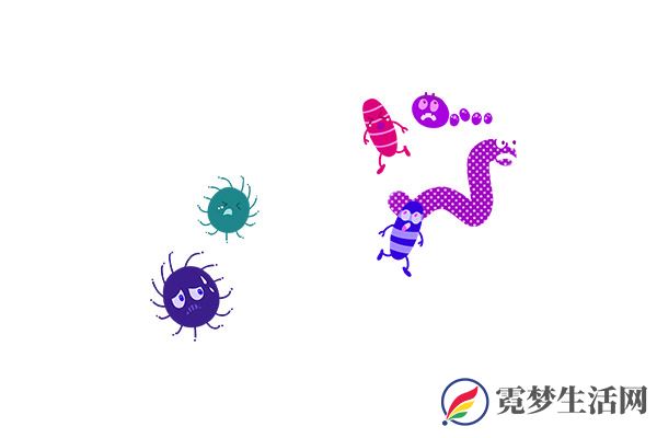 苦参的功效与作用 苦参的好处(图2)