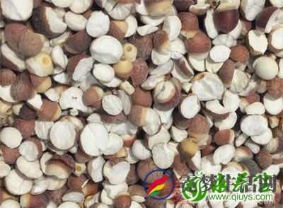 芡实的功效与作用及食用方法