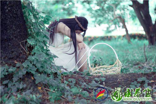 石斛应该怎么吃 石斛的食疗