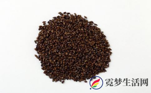 决明子的作用 决明子的副作用 哪些人不宜用决明子