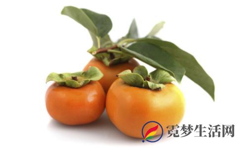 野柿子怎么吃 野柿子的吃法 野柿子的禁忌