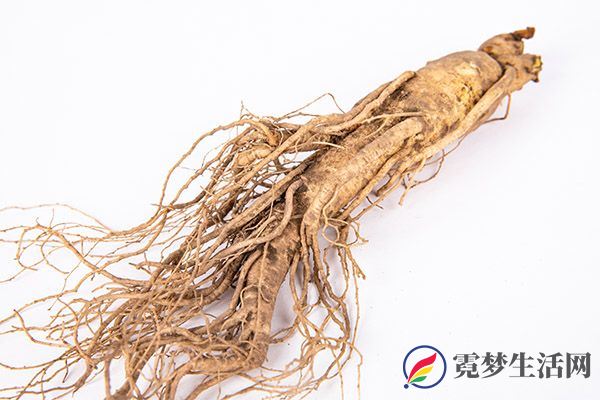 人参的功效与作用 吃人参的好处(图2)