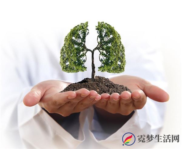 为何秋季要养肺 秋季养肺的重要性