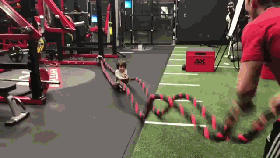 640 (3).gif
