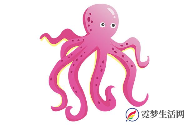 柿子-章鱼.jpg