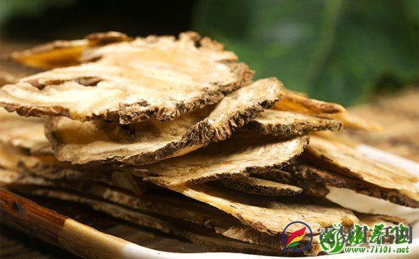 当归可以和什么一起煲汤？当归和什么一起煲汤最好？(1)