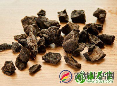 适于虚不受补者 适于虚不受补者