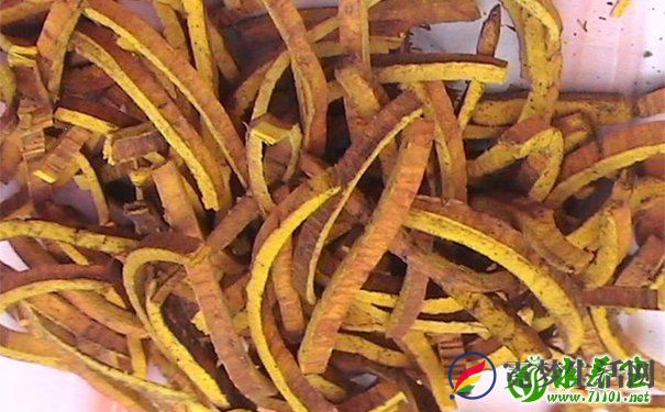 黄柏有什么功效？黄柏的功效与作用