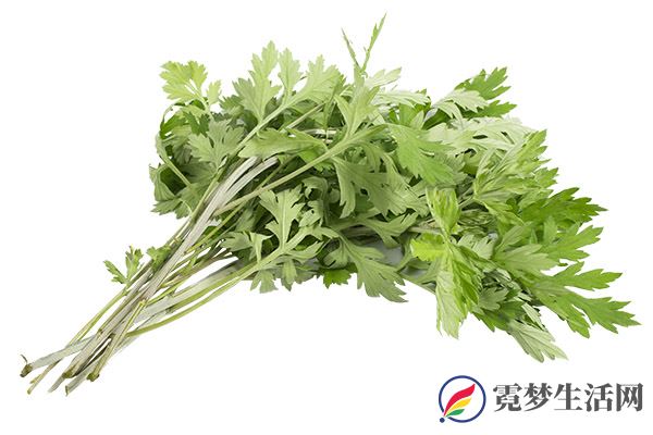 艾草的功效与作用 艾草的好处(图1)