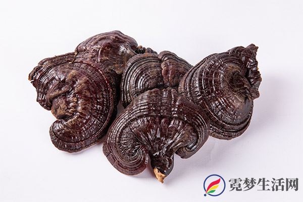 灵芝的功效与作用 灵芝可以怎么吃