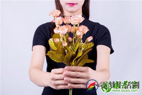 黄芪怎么吃效果才好 黄芪的食疗