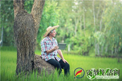 老人学太极拳的好处 老人练太极注意三大禁忌