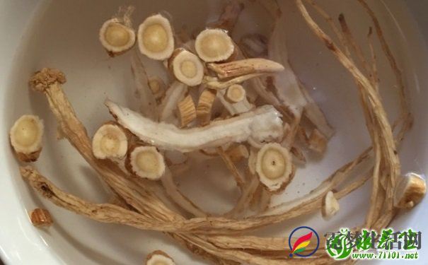 当归和黄芪可以一起吃吗？当归黄芪泡水喝的功