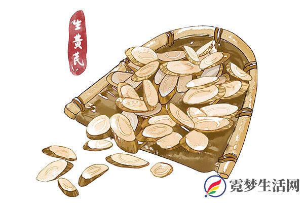 生黄芪1.jpg