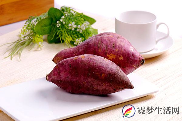 红薯发芽了还能吃吗 红薯的营养价值有哪些