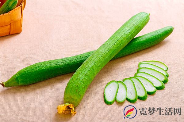 丝瓜2.jpg