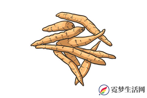 太子参的功效与作用 太子参有什么用处(图3)