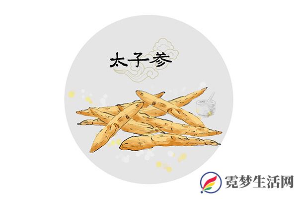 太子参的功效与作用 太子参有什么用处(图2)