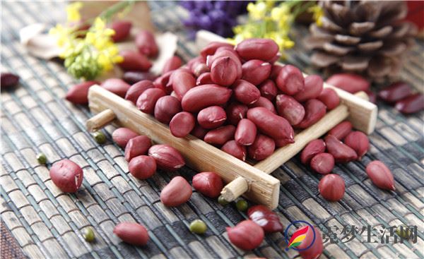 什么食物可以提高人的记忆 增加记忆力的食物有哪些