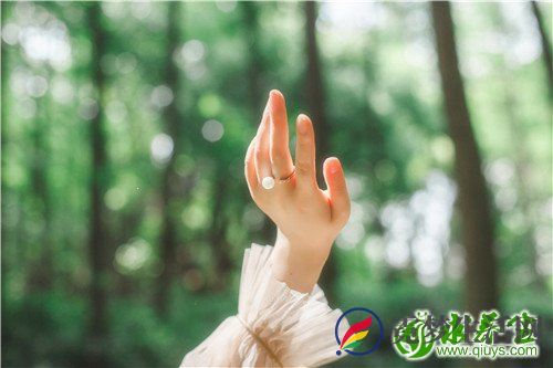 夏枯草底形态特征 夏枯草长什么样子